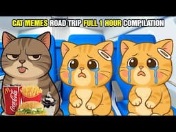 CAT MEMES ROAD TRIP FULL 1 HOUR COMPILATION