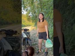 Mencari rebung oleh gadis dayak diperbatasan