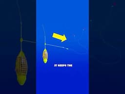 UNIQUE fishing method from JAPAN 🇯🇵🎣 #fishing