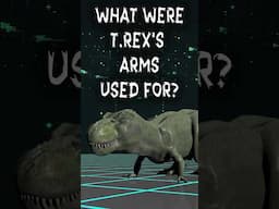 What were T-Rex's arms used for?