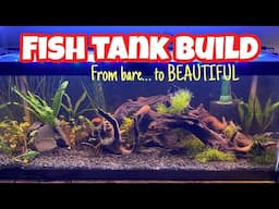 I Built the Aquarium of My Dreams!
