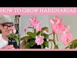 How to grow Habenarias!!