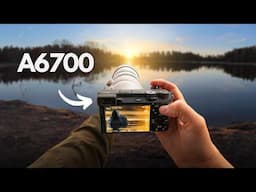Relaxing POV Nature Photography | Sunrise, Birds and Spring Magic