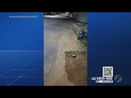 Repórter Cidadão