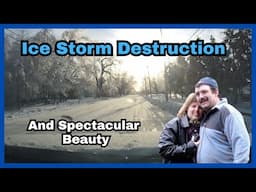 Exploring the Destruction and Beauty of an Ice Storm: Searching for Food