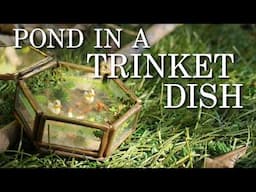 Transforming a Trinket Dish into a Miniature Pond DIY Recycling Project