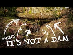 What is a Leaky Dam & how do you make one?