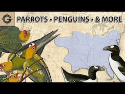 Mapping North America's Extinct Birds (Parrots, Penguins, & More)