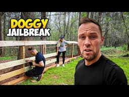 Total Panic: We Lost Our Dogs While We Were On Vacation! Emergency Fence Repair!