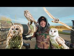 Can we photograph 4 owl species in 1 day?