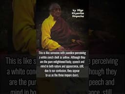 Our own body, speech and mind seem to impure and deluded