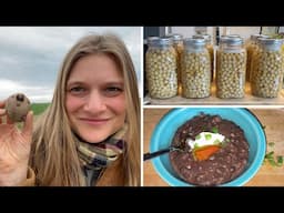 Canning Chickpeas, No-Dig Potatoes, & Black Bean Soup