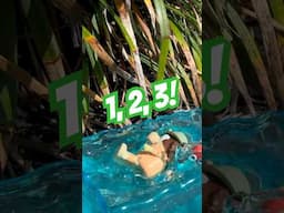Best Toddler Counting Video with Bluey! Learn to Count while making a Muddy Mess #bluey