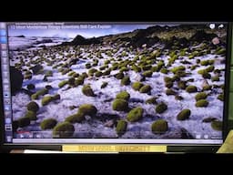 Green Mice Balls Invade Alaska for 20 Years or More and Biologists and Geologists are Baffled