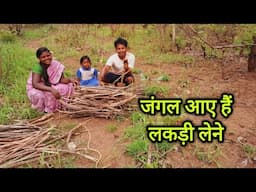 हम जंगल से कैसे लाते हैं सूखी लकड़ी - गांव का जीवन