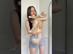 Cats shouldn’t be this OBSESSED #happyandpolly