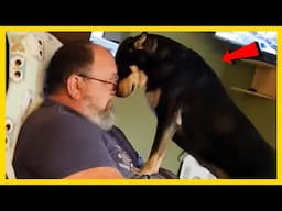 🐕I Think My Dog Was a Comedian in Past Life😂Best Funniest Dog Videos