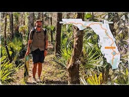 Halfway! Skating & Hiking Across Florida! Ocala Springs & Boardwalks - Florida Trail Thru Hike 4
