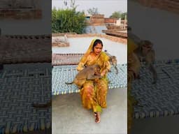 Babu chandu new funny banana taking video #monkey #monkeychallenge #monkeyclip