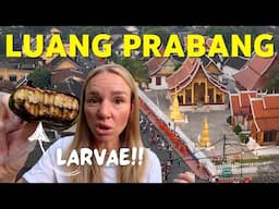 The Things We Didn't Expect To See In Luang Prabang 🇱🇦 Laos 2025