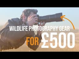 Wildlife photography on a £500 budget in 2025 | All for less than the price of an Iphone!
