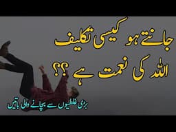 Allah Ki Nemat Hai Aisi Takleef..Amazing Collection of Inspirational Quotes in Urdu | Amazing Quotes