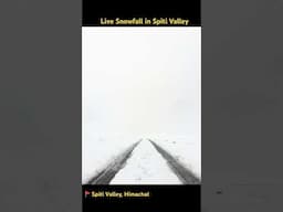 Snowfall in Spiti Valley I Spiti Valley Road Trip I #shorts
