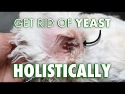Dr. Judy Morgan's Suggested Yeast Products