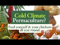 Permaculture for Cold Climates: Food Forests, Medicine, & Chicken Feed All-In-One