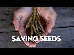 Step 5: Saving Seeds