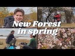 Cosy walk in the magical New Forest