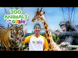 Animal Adventure for Kids | Learn Fun Facts About Wild Zoo Animals