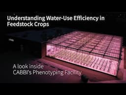 CABBI Plant Biology Innovation Greenhouse and Phenotyping Facility