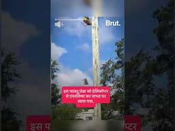 इस पालतू ज़ेब्रा को हेलिकॉप्टर से एयरलिफ्ट कर वापस घर लाया गया.