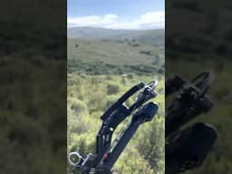 Bow and arrow shot on a RED HARTEBEEST!!! (Filmed on iPhone)