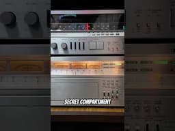 Vintage Receiver - Wild Surprise 😮