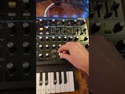 Here's what you can make on Novation Peak #shorts