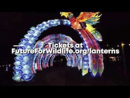 Asian Lantern Festival is back!