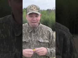 Here’s a Tip for A Hung Up Gobbler