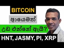 BITCOIN ආයෙමත් උඩ එන්නේ ඇයි? | HNT, JASMY, PI, AND XRP