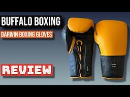Buffalo Boxing Studio Darwin Pro Gloves: Full Review & Breakdown