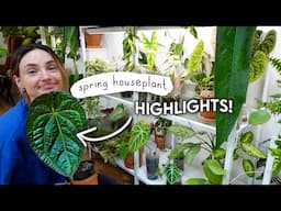 Exciting Spring Houseplant HIGHLIGHTS 🌱