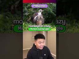 Do You Know The Countries National Animals? 2