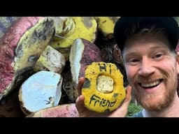 Hunting & Cooking Butter Boletes (Butyriboletus primiregius) in Northern California: Relaxing ASMR