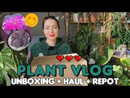 🌿Plant vlog🌿 Buying plants, unboxing plant care tools and soil mixes + repot with me 📦