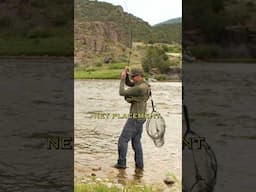 Land more fish with this SIMPLE net setup! #flyfishing #codebreakerangler