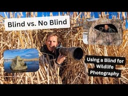 Improve your Wildlife Photography by using a Photo Blind. How & when to use a blind for best results