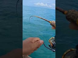 sedap kali lengkungan capung 702 Gold #uqi2017 #fishing #mancing #fish