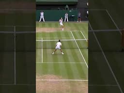 Sinner. Djokovic. Battle of the lobs 😍 #shorts #wimbledon #tennisplayer