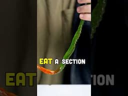 Let's Play Spicy Segments!
